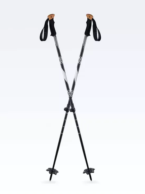 Atlas 2 Piece Lockjaw Poles