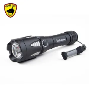 igNight 800 Multimedia Flashlight