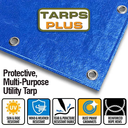 Light Duty Poly Tarps